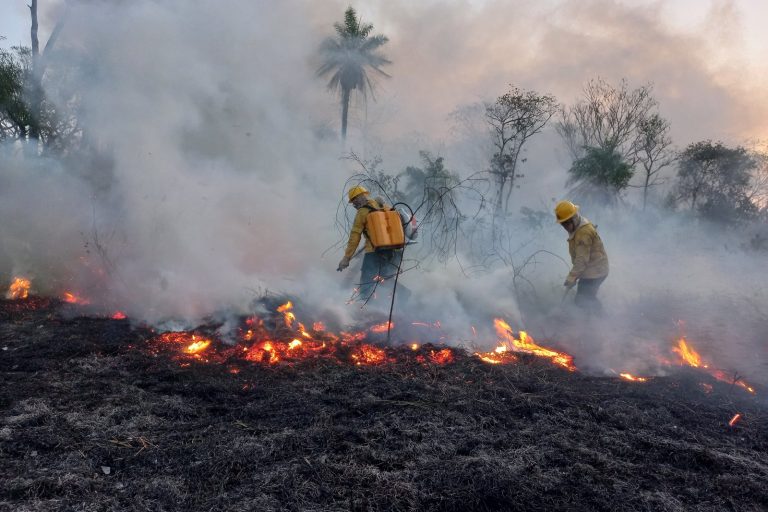 Brazilian Telenovela Pantanal Airs After Historic Forest Fire Backdrop