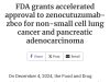 Zenocutuzumab approved for lung and pancreatic cancer Zenocutuzumab Fda Approval December 2024