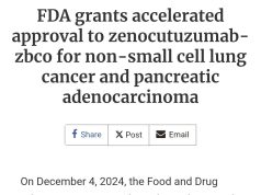 Zenocutuzumab approved for lung and pancreatic cancer Zenocutuzumab Fda Approval December 2024