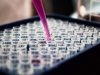 AI-Designed Virus Contains Novel Genetic Component, Study Finds AI-Designed Virus Contains Novel Genetic Component, Study Finds