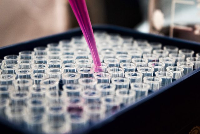 AI-Designed Virus Contains Novel Genetic Component, Study Finds AI-Designed Virus Contains Novel Genetic Component, Study Finds