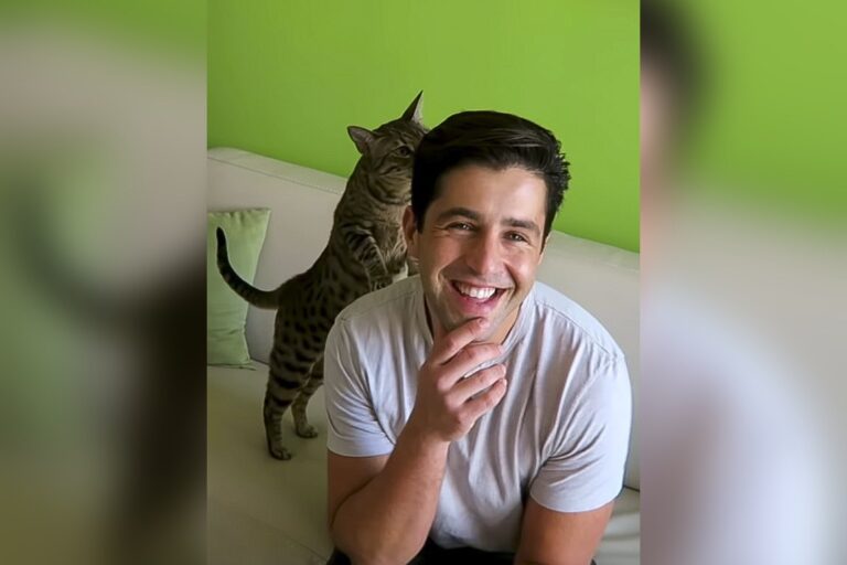 Josh Peck Reveals $125,000 Annual Income from Nickelodeon’s ‘Drake & Josh’