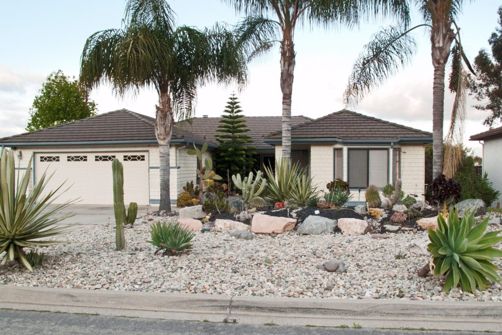 Native Plant Gardens Cut Water Use by 60% and Save Homeowners 500 Annually, Experts Say